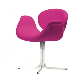 Little Tulip (Stjernefod)