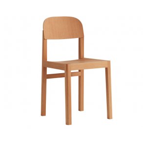 Workshop Chair