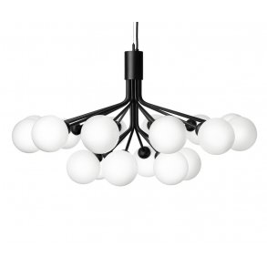 Apiales 18 (Opal/Black)