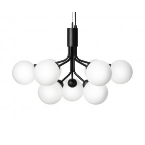 Apiales 9 (Opal/Black)