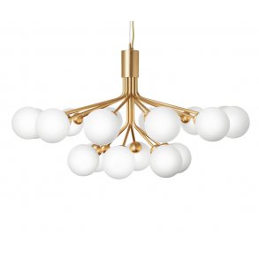 Apiales 18 (Opal/Brass)